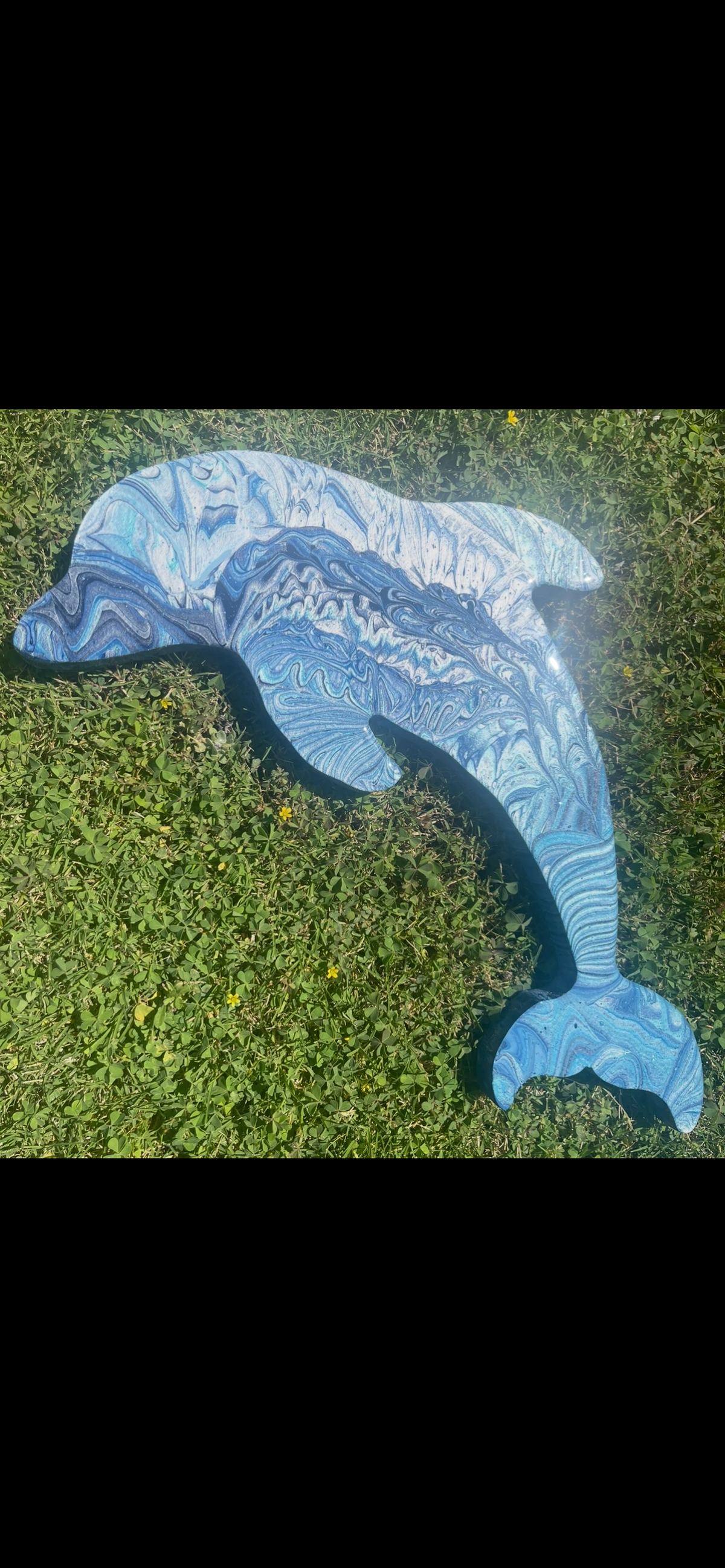 Dolphin Wall Art