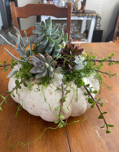 Succulent Pumpkin decor class