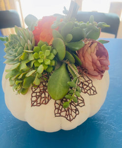 Succulent Pumpkin decor class