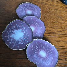 Load image into Gallery viewer, Pink Dandelion resin coasters